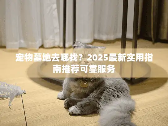 宠物墓地去哪找？2025最新实用指南推荐可靠服务