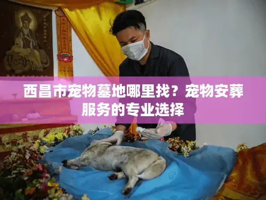 西昌市宠物墓地哪里找？宠物安葬服务的专业选择