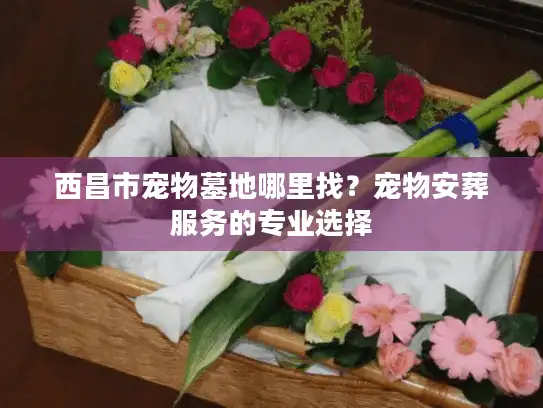 西昌市宠物墓地哪里找？宠物安葬服务的专业选择