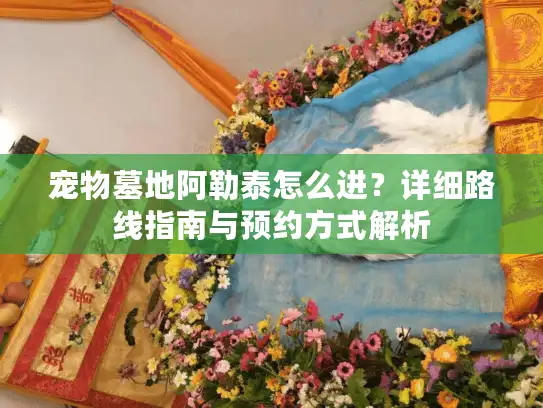 宠物墓地阿勒泰怎么进？详细路线指南与预约方式解析