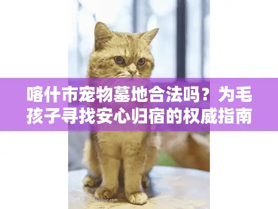 喀什市宠物墓地合法吗？为毛孩子寻找安心归宿的权威指南