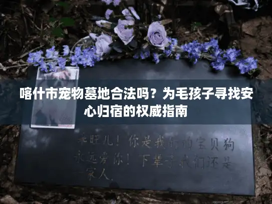 喀什市宠物墓地合法吗？为毛孩子寻找安心归宿的权威指南