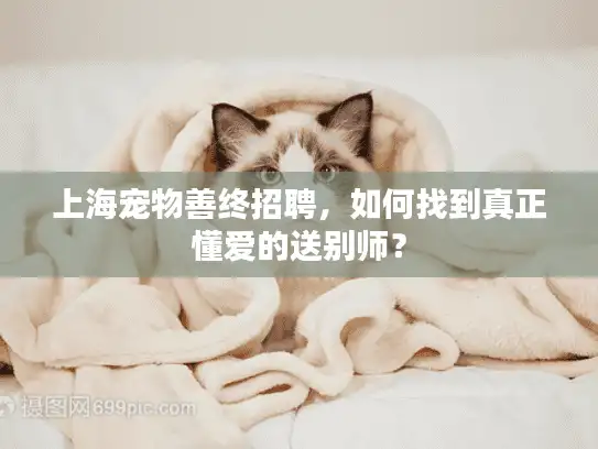 上海宠物善终招聘，如何找到真正懂爱的送别师？