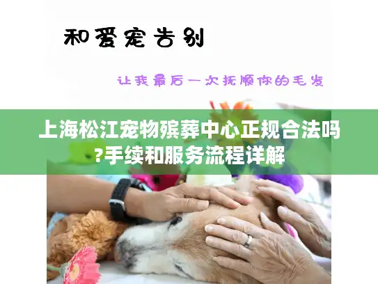 上海松江宠物殡葬中心正规合法吗?手续和服务流程详解