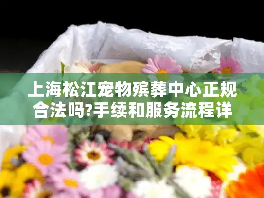 上海松江宠物殡葬中心正规合法吗?手续和服务流程详解