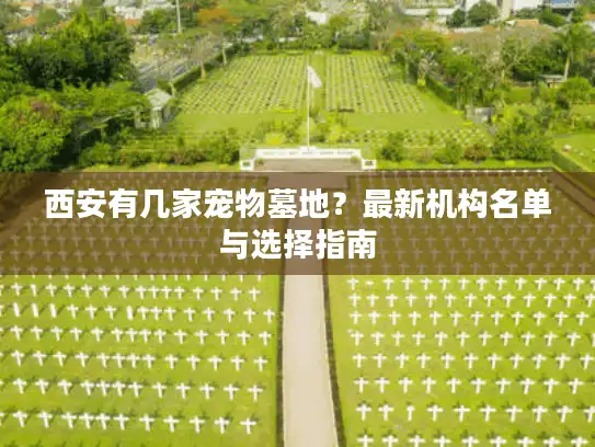 西安有几家宠物墓地？最新机构名单与选择指南