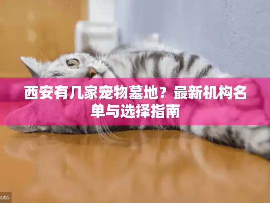 西安有几家宠物墓地？最新机构名单与选择指南