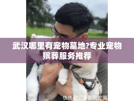 武汉哪里有宠物墓地?专业宠物殡葬服务推荐