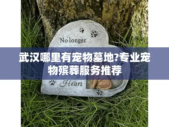 武汉哪里有宠物墓地?专业宠物殡葬服务推荐