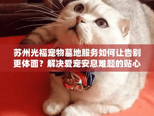 苏州光福宠物墓地服务如何让告别更体面？解决爱宠安息难题的贴心选择