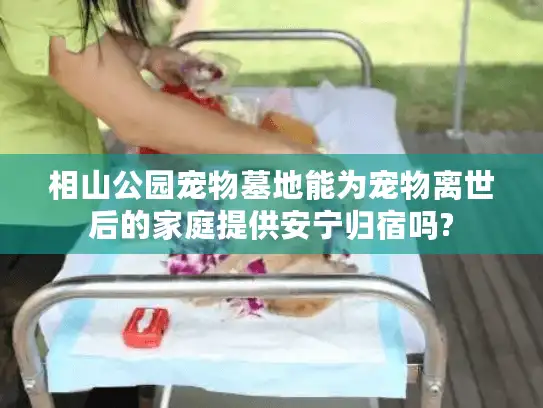 相山公园宠物墓地能为宠物离世后的家庭提供安宁归宿吗?