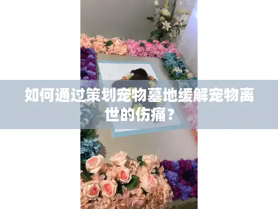 如何通过策划宠物墓地缓解宠物离世的伤痛？