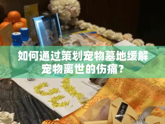 如何通过策划宠物墓地缓解宠物离世的伤痛？
