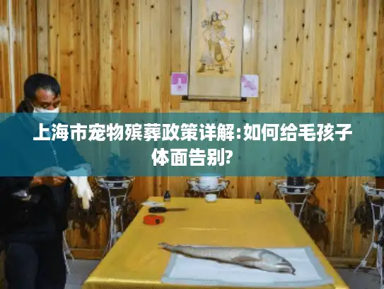 上海市宠物殡葬政策详解:如何给毛孩子体面告别?
