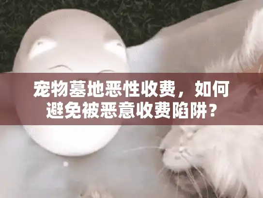 宠物墓地恶性收费，如何避免被恶意收费陷阱？