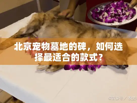 北京宠物墓地的碑，如何选择最适合的款式？