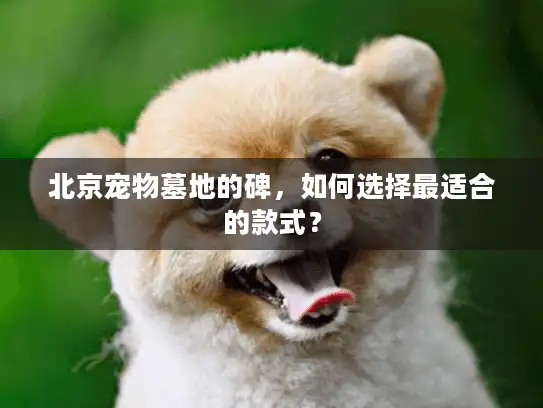 北京宠物墓地的碑，如何选择最适合的款式？