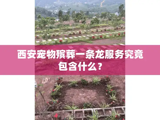 西安宠物殡葬一条龙服务究竟包含什么？