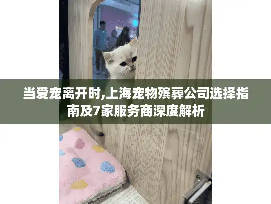当爱宠离开时,上海宠物殡葬公司选择指南及7家服务商深度解析