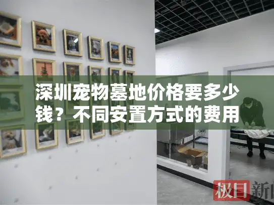 深圳宠物墓地价格要多少钱？不同安置方式的费用指南
