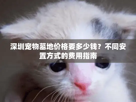 深圳宠物墓地价格要多少钱？不同安置方式的费用指南