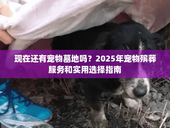 现在还有宠物墓地吗？2025年宠物殡葬服务和实用选择指南