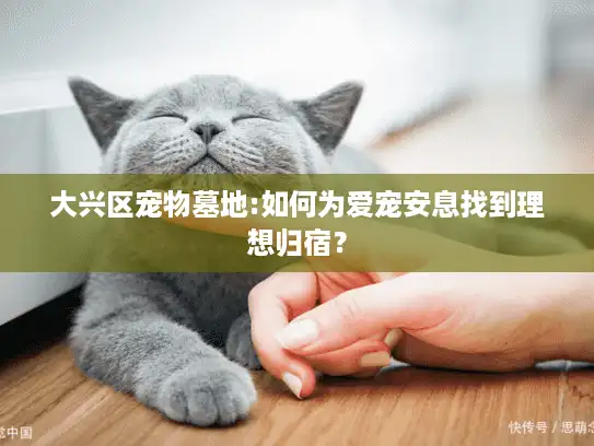 大兴区宠物墓地:如何为爱宠安息找到理想归宿？