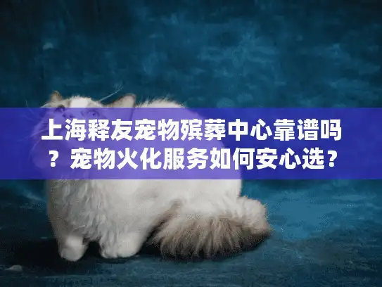 上海释友宠物殡葬中心靠谱吗？宠物火化服务如何安心选？