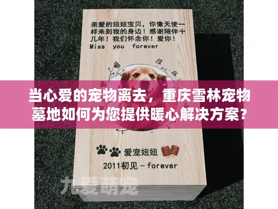 当心爱的宠物离去，重庆雪林宠物墓地如何为您提供暖心解决方案？