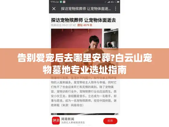 告别爱宠后去哪里安葬?白云山宠物墓地专业选址指南