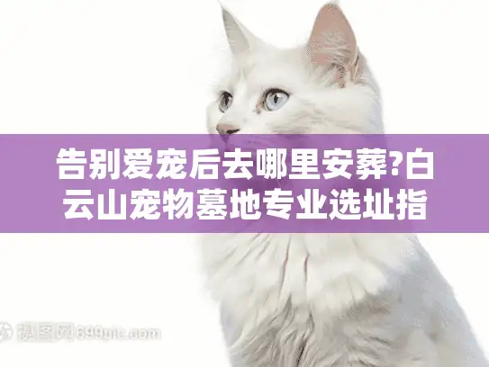 告别爱宠后去哪里安葬?白云山宠物墓地专业选址指南