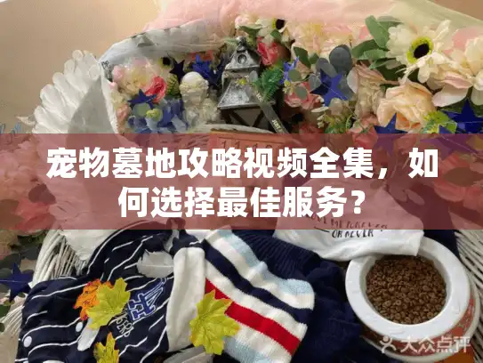 宠物墓地攻略视频全集，如何选择最佳服务？