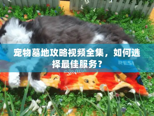 宠物墓地攻略视频全集，如何选择最佳服务？