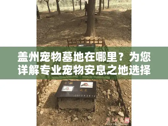 盖州宠物墓地在哪里？为您详解专业宠物安息之地选择