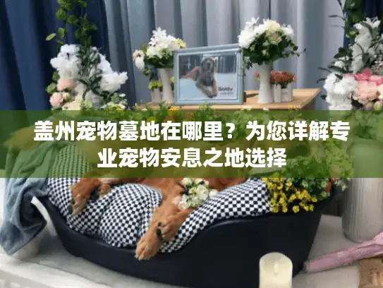 盖州宠物墓地在哪里？为您详解专业宠物安息之地选择