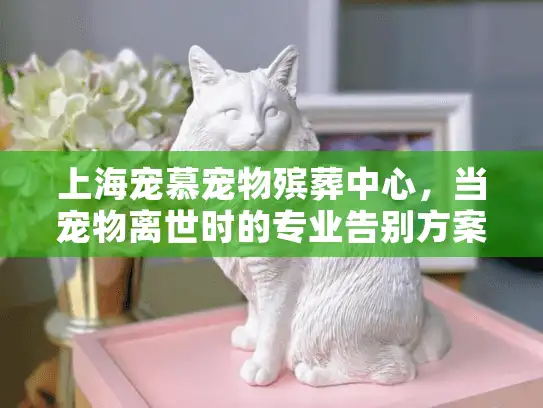 上海宠慕宠物殡葬中心，当宠物离世时的专业告别方案