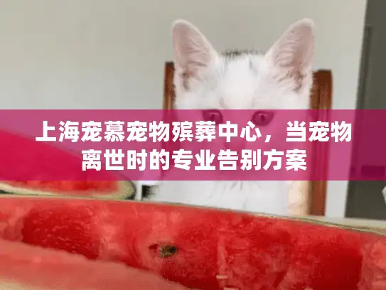 上海宠慕宠物殡葬中心，当宠物离世时的专业告别方案