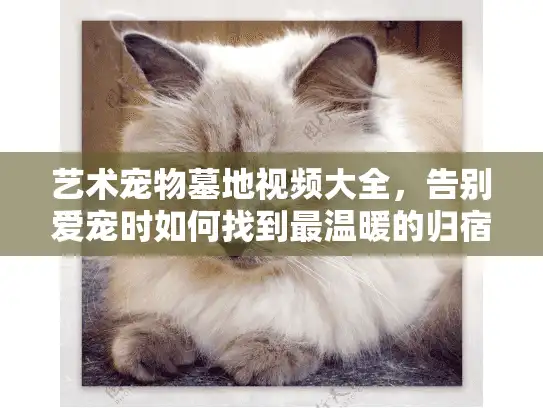 艺术宠物墓地视频大全，告别爱宠时如何找到最温暖的归宿？