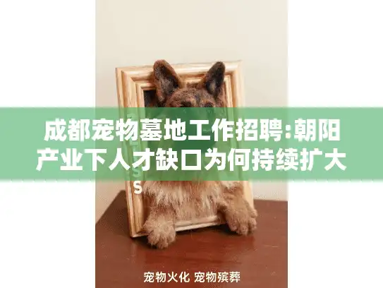 成都宠物墓地工作招聘:朝阳产业下人才缺口为何持续扩大?