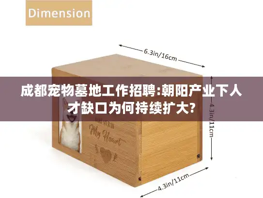 成都宠物墓地工作招聘:朝阳产业下人才缺口为何持续扩大?