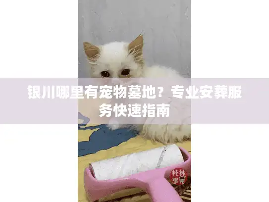 银川哪里有宠物墓地？专业安葬服务快速指南