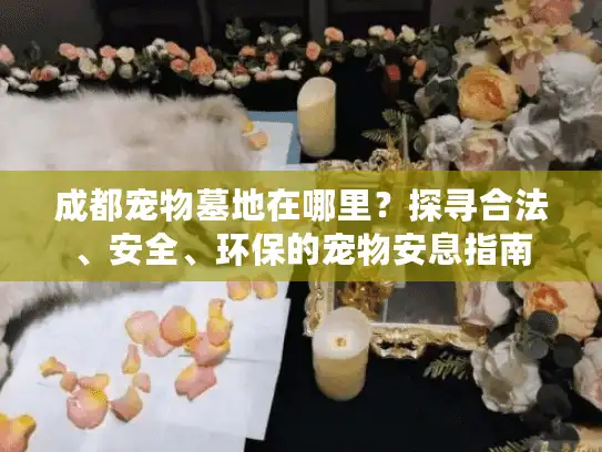 成都宠物墓地在哪里？探寻合法、安全、环保的宠物安息指南