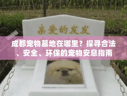 成都宠物墓地在哪里？探寻合法、安全、环保的宠物安息指南