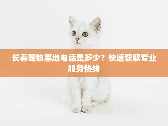 长春宠物墓地电话是多少？快速获取专业服务热线