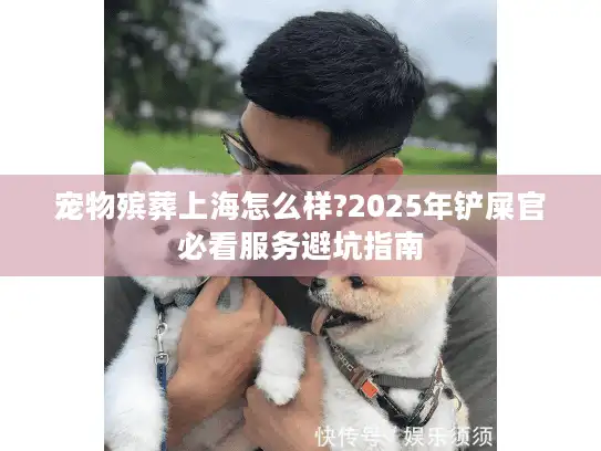宠物殡葬上海怎么样?2025年铲屎官必看服务避坑指南