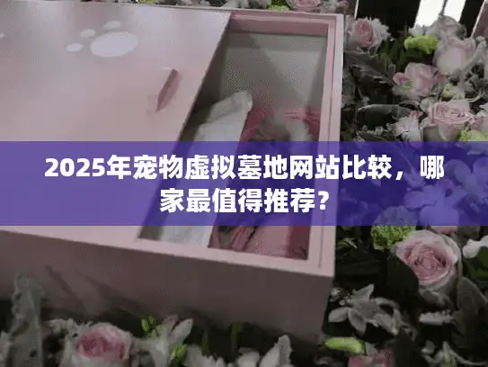 2025年宠物虚拟墓地网站比较，哪家最值得推荐？