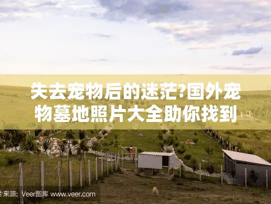 失去宠物后的迷茫?国外宠物墓地照片大全助你找到理想安息地