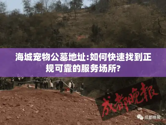 海城宠物公墓地址:如何快速找到正规可靠的服务场所?