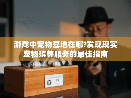 游戏中宠物墓地在哪?发现现实宠物殡葬服务的最佳指南