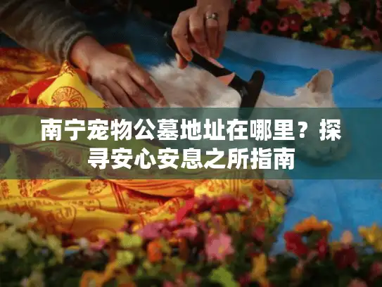 南宁宠物公墓地址在哪里？探寻安心安息之所指南